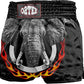O2TEE Muay Thai Shorts Boxing Shorts MMA Kickboxing